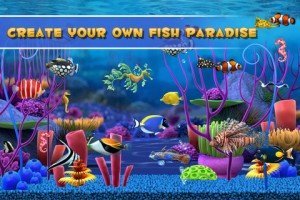 fishparadise 01