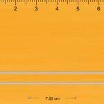 ruler 01
