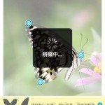 butterfly 02