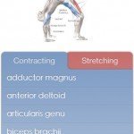 Yoga Anatomy 2