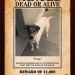 Wanted Poster Pro 2