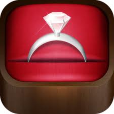 Wedding Planner for iPad