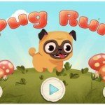 Pug Run 1