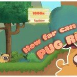 Pug Run 4