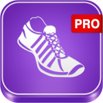 Pedometer PRO 1