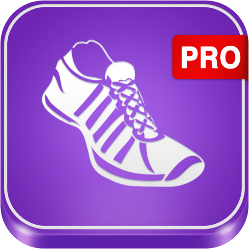 Pedometer PRO 1