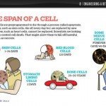 cells by kids discover 5