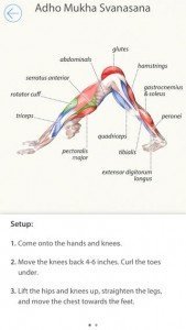 3D Yoga Anatomy-2