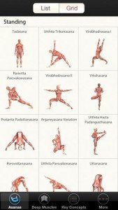 3D Yoga Anatomy-3