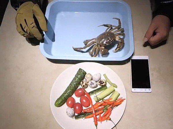 phone crab