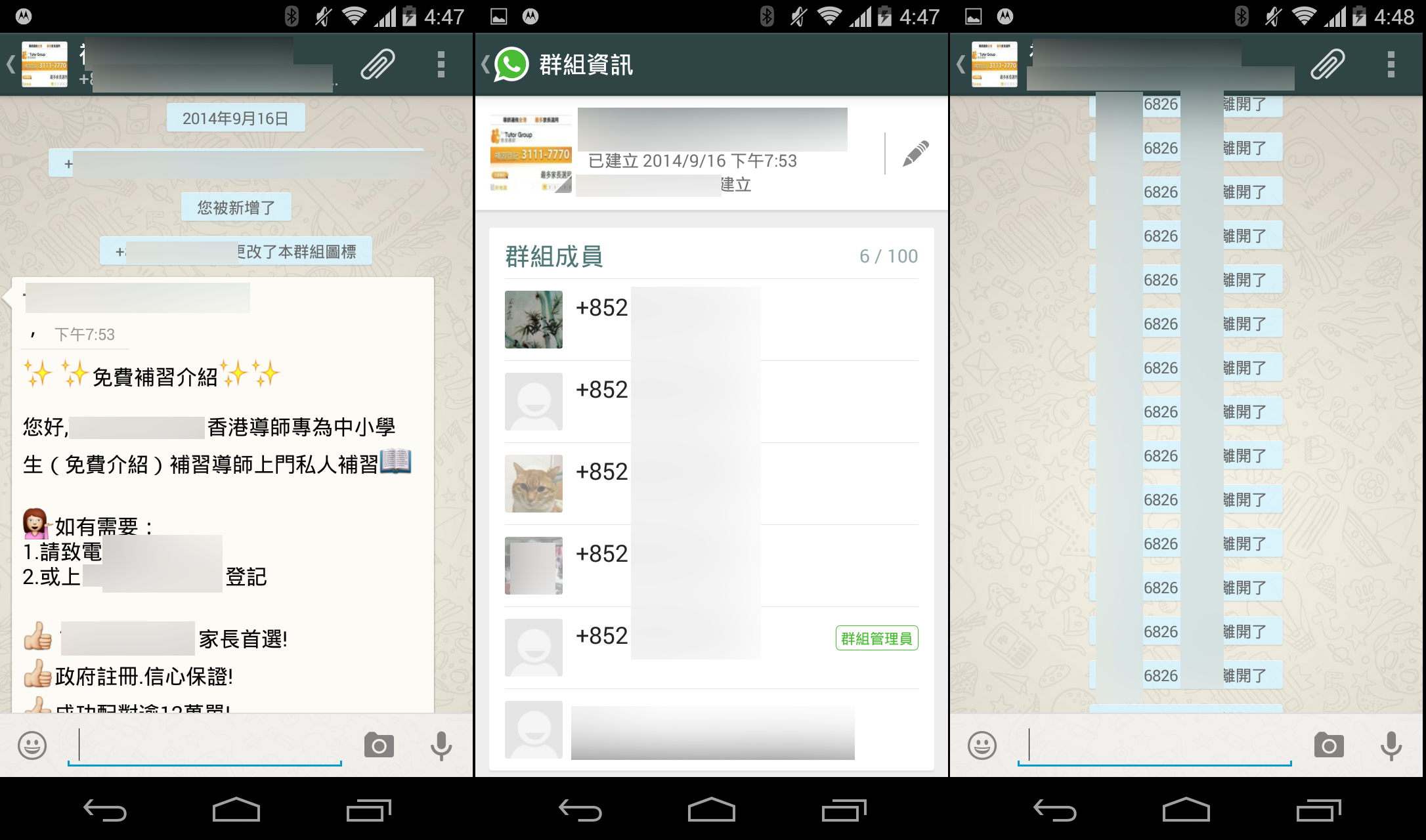 whatsapp junk message in hk 00