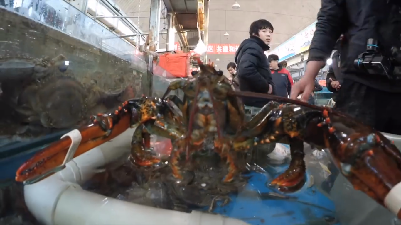 xiaomii-4-live-with-crabs-and-lobsters_03