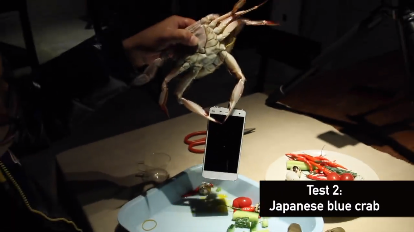 xiaomii-4-live-with-crabs-and-lobsters_07