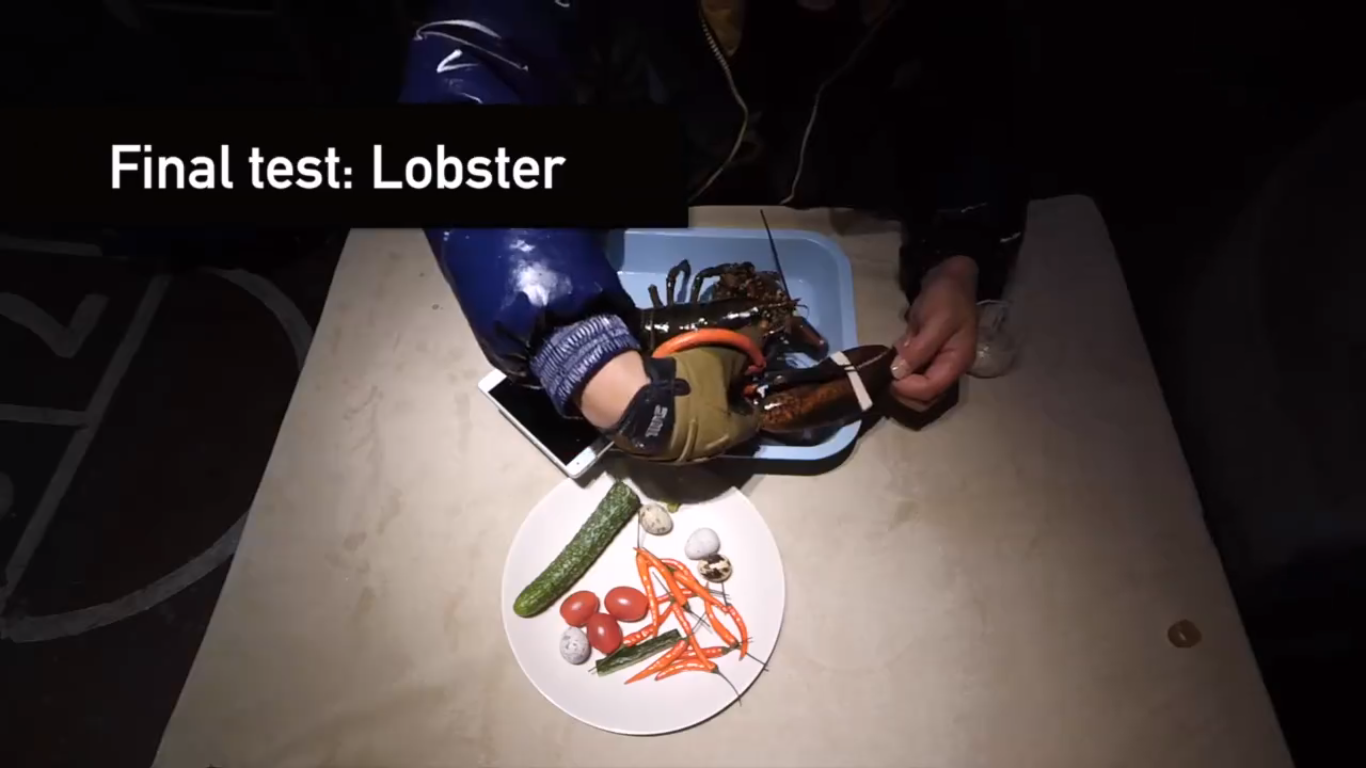 xiaomii-4-live-with-crabs-and-lobsters_08