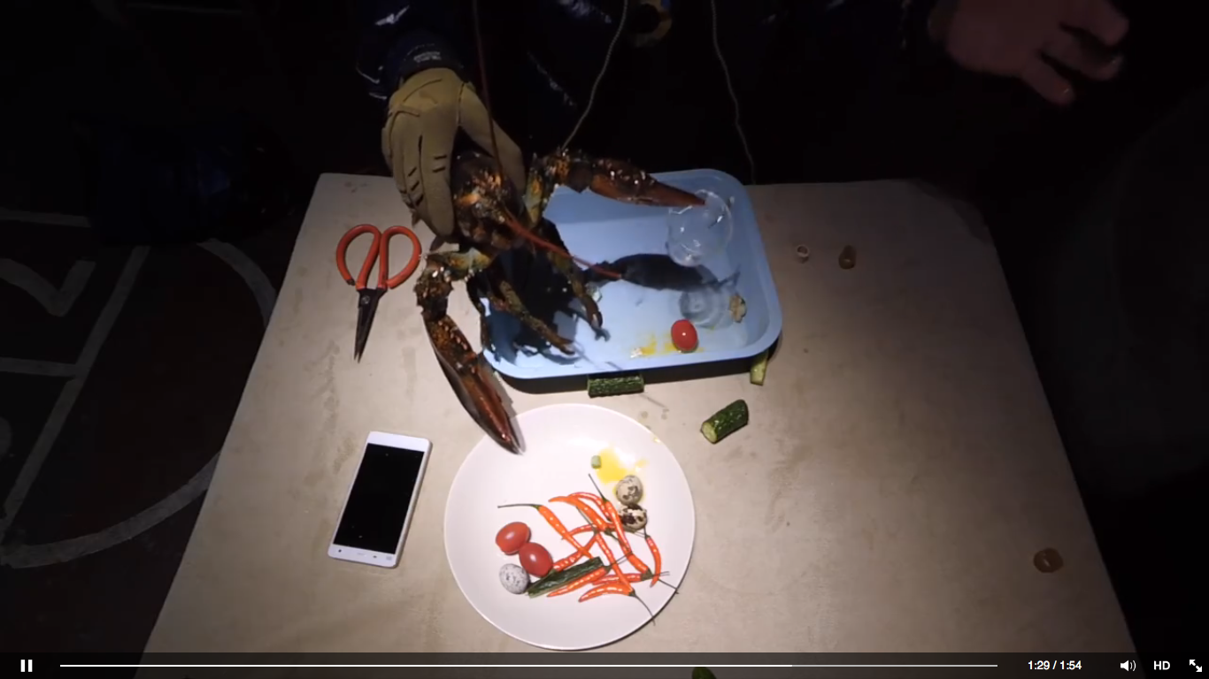 xiaomii-4-live-with-crabs-and-lobsters_10