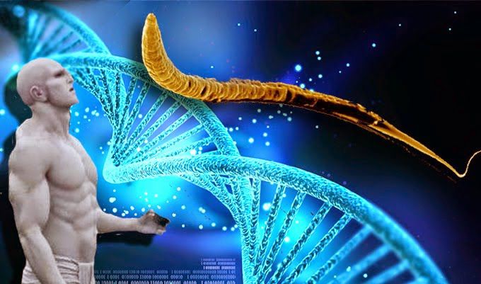 Humans Alien DNA