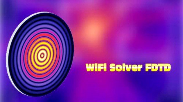 WiFi Solver FDTD