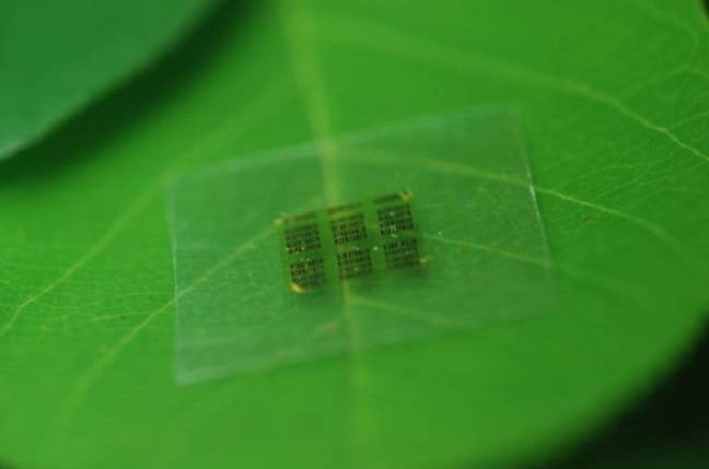 biodegradable chip