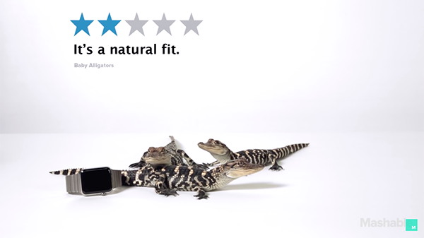 apple-watch-review-with-animals_00