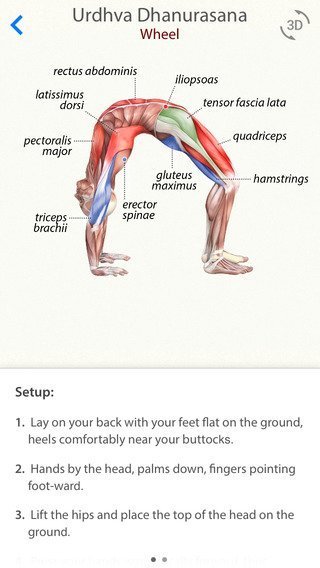 3d-yoga-anatomy-1