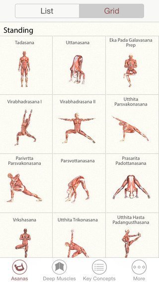3d-yoga-anatomy-2