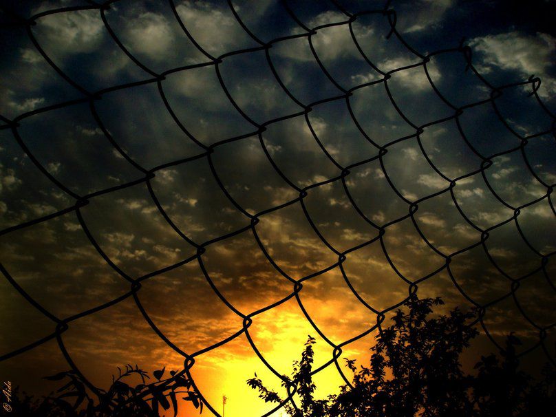 280274 net fence sunset p