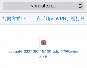 VPN 8