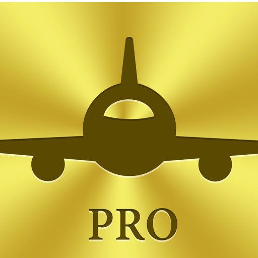 flypro icon