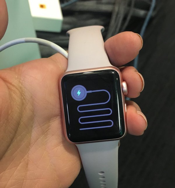 Apple Watch 自帶 貪吃蛇 模式 可能進入了recovery Mode