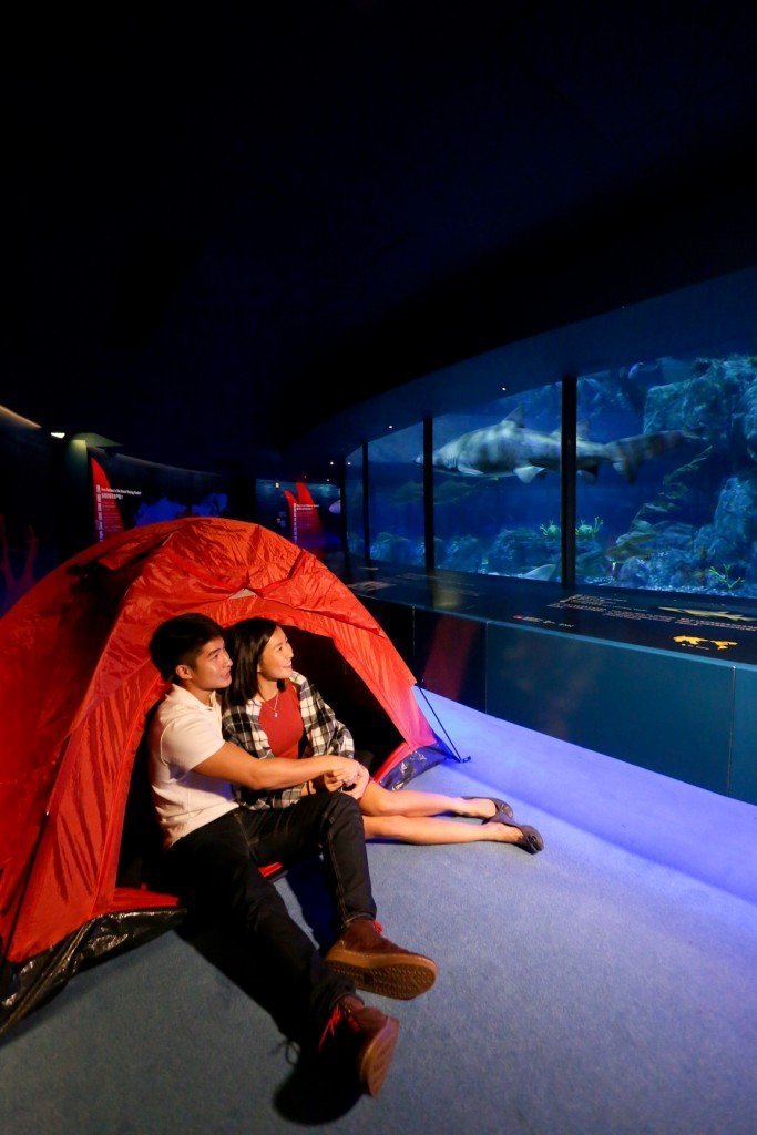 Ocean Park 2016 Valentine’s Day Packages - Nighttime in the Ocean’s Depths – Special Edition 3