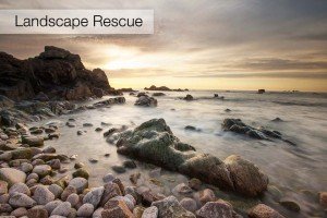 Landscape-Rescue-after