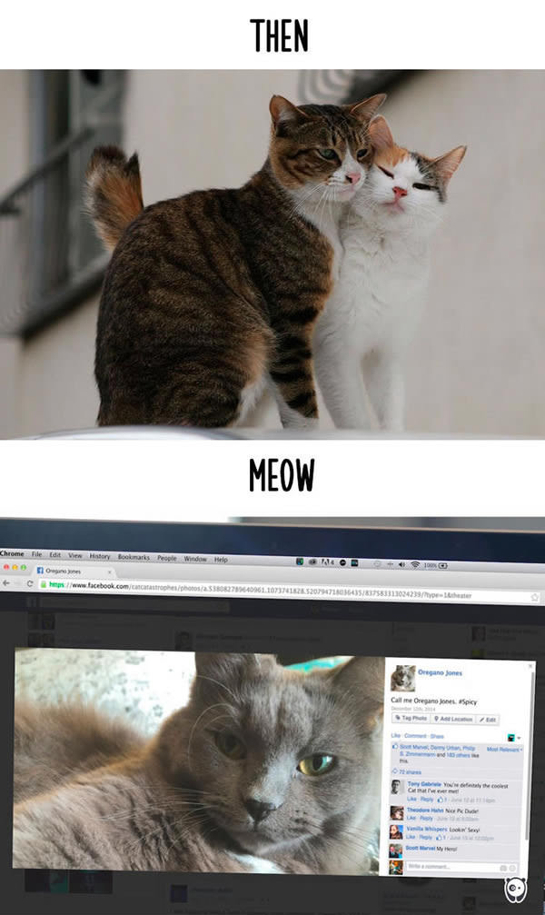 Then vs Meow 5