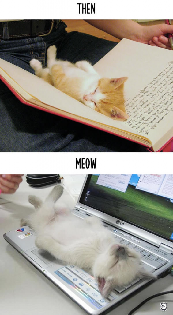 Then vs Meow 8
