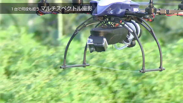 japanese-agri-drone-kill-inspects_01