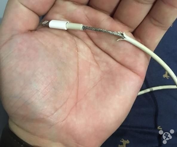 iphone lightning cable tear off 01