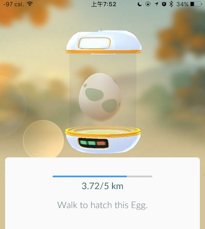 egg01