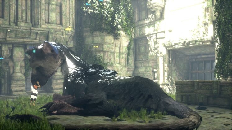 The last guardian картинка