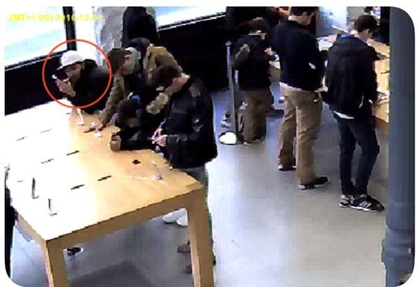 apple store thief crew security cables to steal iphone 01