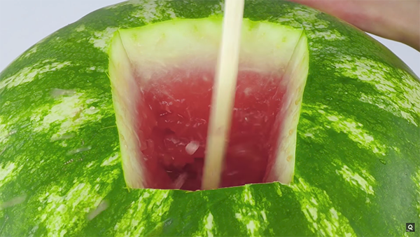 how to make watermelon juice effectively 03