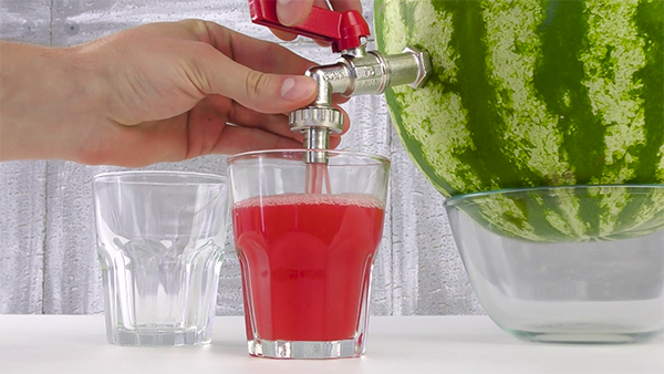 how to make watermelon juice effectively 04