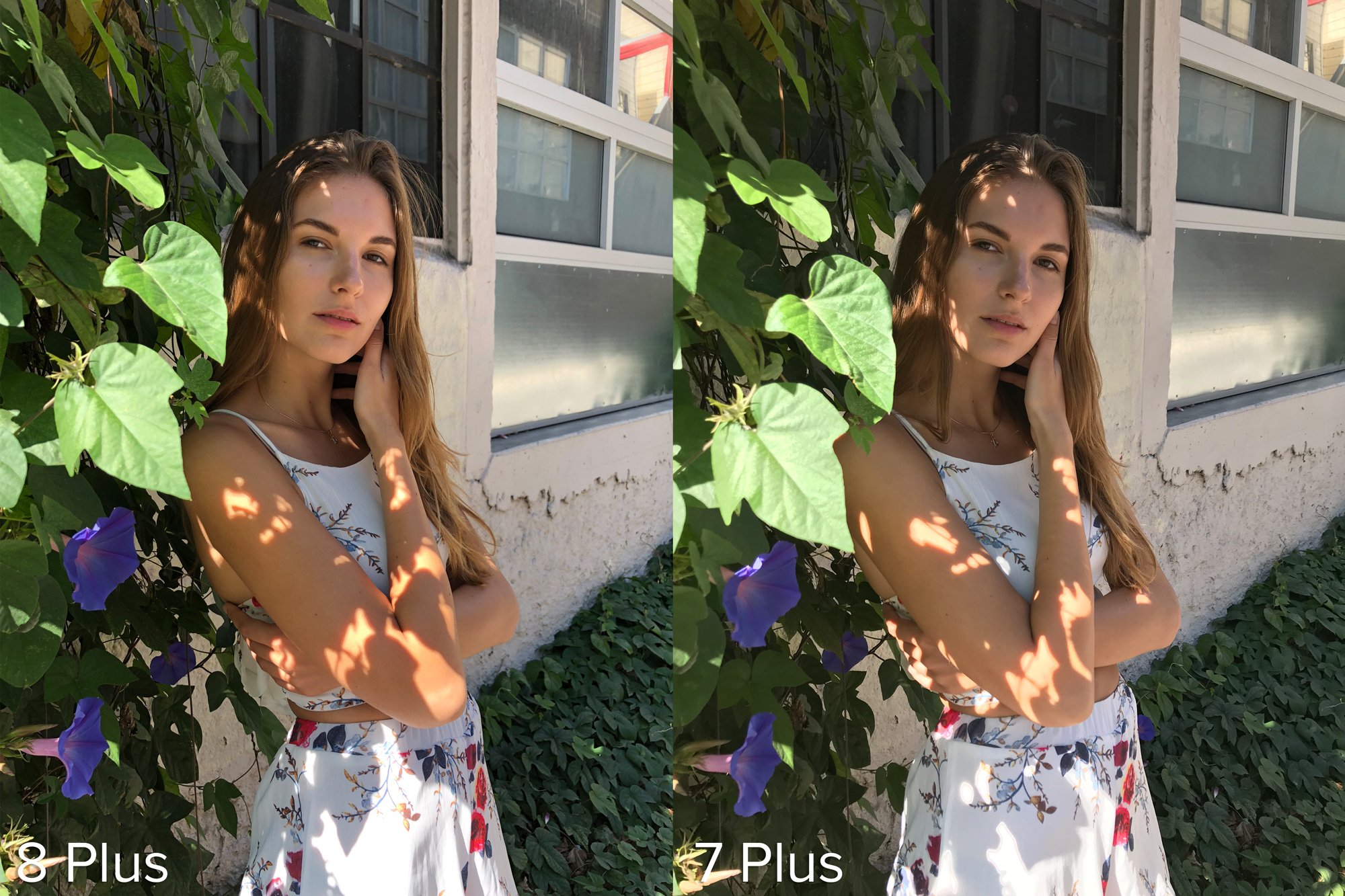 iphone 8 plus photos vs iphone 7 plus 15