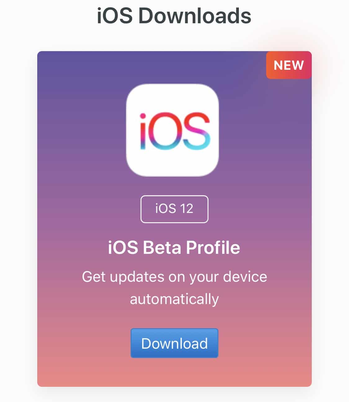 iOS 12 2 1
