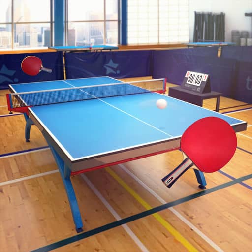 Table Tennis Touch 1