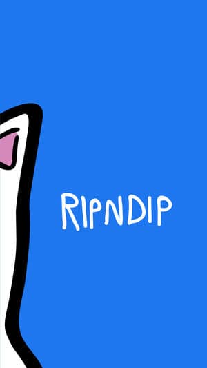 美國知名街牌中指貓imessage 貼圖 Ripndip Stickers 首免 流動日報