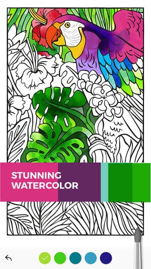 color4