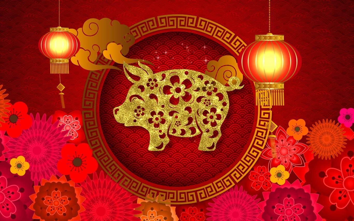 year of the pig header