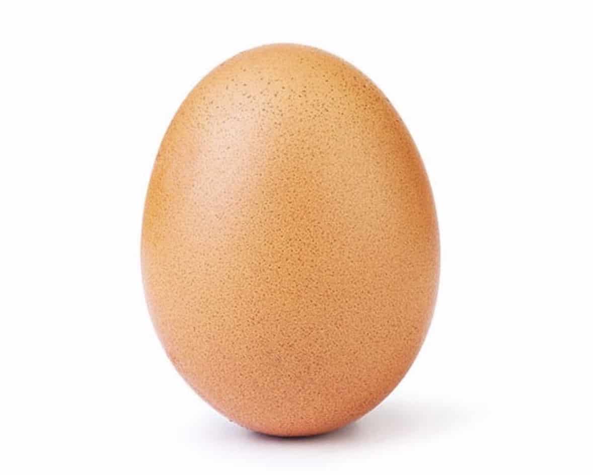 egg ig