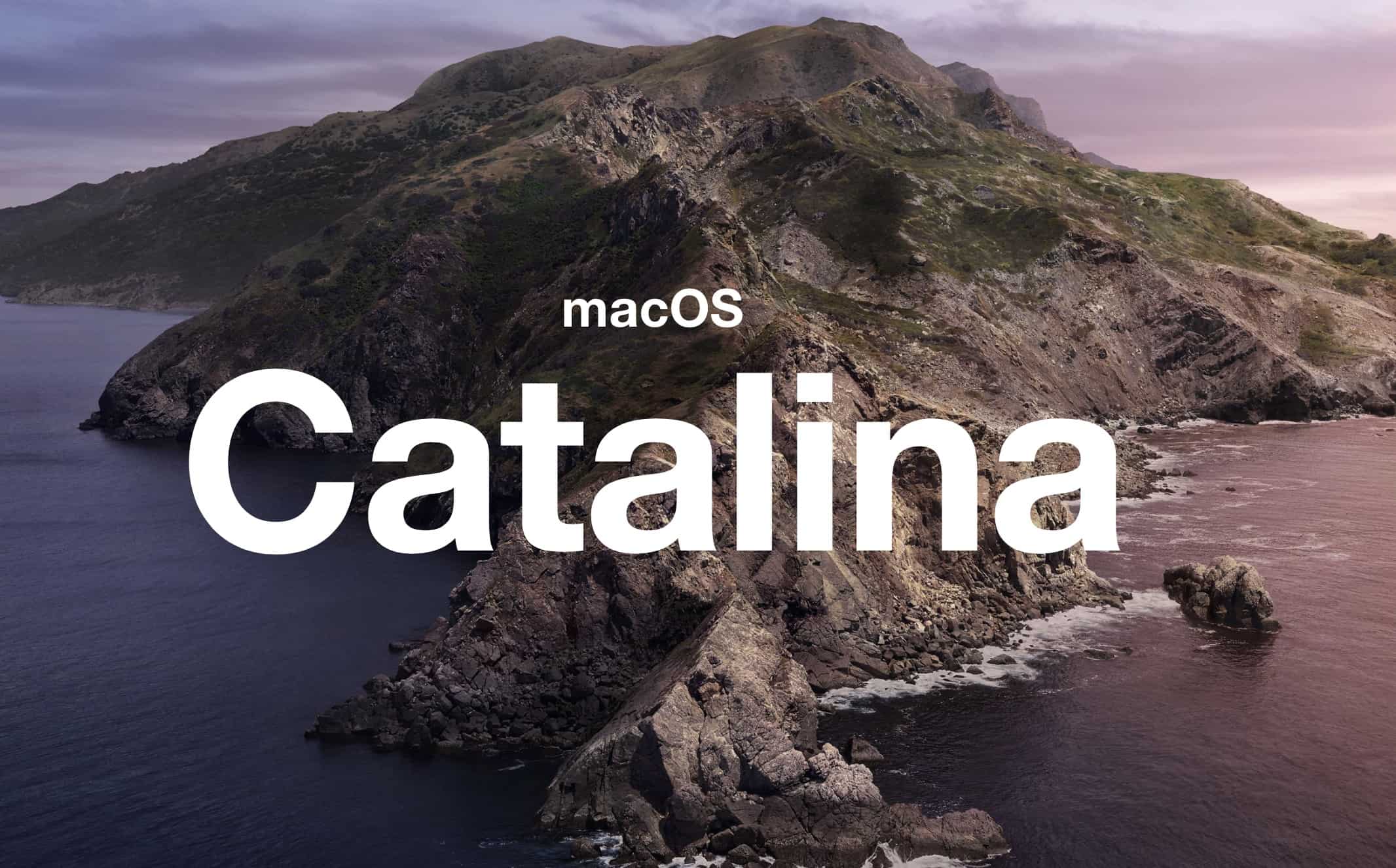 download macos catalina 10.15 vmware image