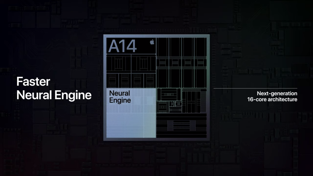 A14 neural