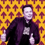 elon